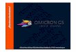 Omicron GS es una empresa integradora de servicios y ... Omicron GS es una empresa integradora de servicios