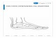 DIN FODS OPBYGNING OG ANATOMI - Capio CFR · 2018-03-01 · ANKLENS ANATOMI Ankelleddet afgrænses af skinnebenet (tibia) opadtil, rullebenet (talus) nedadtil og til sid-erne af den
