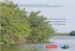 Plan de acción regional para la conservación de los manglares en …cpps.dyndns.info/cpps-docs-web/planaccion/docs2016/Mayo... · 2016-05-18 · Nota: Las designaciones empleadas
