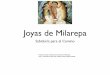 Joyas de Milarepa - datelobueno.com · les doce miembros que incluyen la cabeza, los cinco órganos, las cinco esencias, los seis contenidos internos, la carne, los huesos, los pies