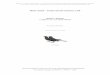 Mirlo común – Turdus merula Linnaeus, 1758digital.csic.es/bitstream/10261/110953/1/turmer_v2.pdf · caudalmente a la articulación palatino-pterigoidea. f) El cráneo presenta