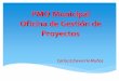Presentación de PowerPoint - gestiopolis.com · • Mejora en la alineación de los proyectos con la estrategia del municipio ... • Planear e implementar una PMO mediante un enfoque