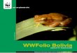 WWFolio Bolivia - Pandaassets.panda.org/downloads/ · 2009-11-24 · racterizada por su extraordinaria diversidad biológica, resultante de los diferentes pisos ecológicos (que van