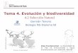 Tema 4. Evolución y biodiversidaddpbiologia.weebly.com/uploads/2/1/5/5/21553524/gtp... · La mutación, la meiosis y la reproducción sexual causan variación entre los individuos