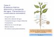 Tema 3: El balance hídrico. Absorción y transporte del ... · •No en todas las plantas •Altura insuficiente para explicar el ascenso de agua en árboles Capilaridad Ascenso