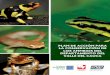 PLAN DE ACCIÓN PARA LA CONSERVACIÓN DE LOS ANFIBIOS … · 2019-03-20 · El Plan de Acción para la Conservación de los Anfibios del Valle del Cauca se formuló en alianza con