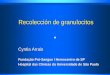 Recolección de granulocitoss2466b93f0b9d8174.jimcontent.com/download/version... · transfusión de granulocitos Pacientes y Métodos Infecciones fúngicas invasivas Mejoría o estabilización