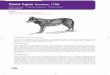Canis lupus Linnaeus, 1758 - Universitat de València · 2011-06-10 · Al norte del Duero, el lobo es especie cinegética en todas las CCAA excepto en Asturias, donde no se permite