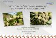 CULTIVO ECOLÓGICO DEL ALMENDRO: DEL VIVERO A LA … · 2020-01-07 · el vivero-el suelo-la raiz- el portainjerto-la variedad marcos de plantaciÓn -poda de iniciaciÓn - tÉcnicas