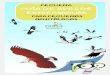 Pequeña Guía de aves de EXTREMADURAredex.org/turismo/ficheros/archivos/2019_05/2016...uniformemente negro pardusco, salvo un gran babero blanco que le cubre parte del pecho y la