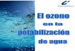 ÍNDICE - Cosemar Ozono · Trituración de los elementos retenidos en el desbaste (sistema útil cuando se quiere evitar la problemática de las rejillas y extracción de subproductos)