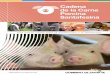 CADENA DE VALOR DE LA CARNE PORCINA SANTAFESINA · 2016-03-31 · 3 consumen 60 y 30 Kg de carne de cerdo, respectivamente, principalmente como carne fresca. En Argentina, en el último