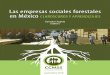 Las empresas sociales forestales en México CLAROSCUROS …...Las empresas sociales forestales en México. Claroscuros y aprendizajes Chapela, Gonzalo (editor), 2018. ... Principales