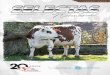 Publicación de Genética Selecta Normando NORMANDO_Enero... · 2019-07-25 · Toro con excelente índice lechero y buenos contenidos de grasa y proteína. Exponente del potencial