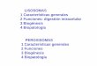 LISOSOMAS 1 Características generales 2 Funciones ......Enfermedades lisosomiales de almacenamiento Enfermedad celular I 2. Enfermedades producidas por la naturaleza del ... sustrato