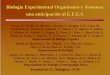 Biología Experimental Experimental Organismos y Sistemas ...webs.ucm.es/centros/cont/descargas/documento4163.pdf · Biología Experimental de Organismos y Sistemas Asignatura de