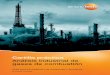 Cartilla práctica Análisis industrial de gases de combustión · 2018-04-25 · 1.4.4 Volumen del gas, efecto de dilución, valor de referencia 16 1.5 Gases de combustión 19 1.6