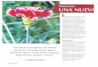 biblioteca.inia.clbiblioteca.inia.cl/medios/biblioteca/ta/NR19037.pdf · 2015-03-10 · ción de bulbos de lilium de colores a Holanda y Bélgica. La empresa Pacific Flowers exporta
