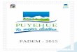 PADEM - 2015 - Ilustre Municipalidad de PuyehueEscuela Ñadi Pichi Damas 28 32 28 Escuela Termas de Puyehue 4 4 6 ... A continuación se presenta el cuadro con las iniciativas aprobadas
