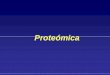 Genoma -> Transcriptoma ->Proteoma - UMHsici.umh.es/teaching/doctorate/Functional_Genomics_and... · 2007-02-13 · •Técnica muy laboriosa: requiere mucho tiempo (2 días)