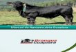 Manual de Produção Pecuária · 2014-04-28 · Manual de Produção Pecuária 1. INTRODUÇÃO Este Manual Guapiara de Produção Pecuária tem o objetivo de repassar aos nossos