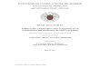 UNIVERSIDAD COMPLUTENSE DE MADRIDeprints.ucm.es/41428/1/T38460.pdf · 2017-02-20 · (encaso necesario sepodránañadirmáshojas): El trabajo de investigación realizado ha podido