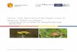 Flora och faunainventeringar inom 4 Natura 2000 områden · 2017-12-12 · 2 Sammanfattning I denna rapport redovisas resultat av flora- och faunainventeringar (huvudsakligen dagfjärilar)