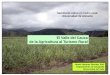 El Valle del Cauca de la Agricultura al Turismo Ruralrua.ua.es/dspace/bitstream/10045/17151/3/Valle Cauca.pdf · • Valle geográfico del río Cauca la región más importante, se