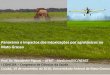 Panorama e impactos das intoxicações por agrotóxicos no Mato … · 2017-02-19 · produtos agrícolas, nas pastagens, na proteção de florestas, nativas ou implantadas, e de