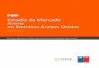 Estudio de Mercado AVENA - EAUstatic.elmercurio.cl/Documentos/Campo/2017/08/14/20170814113655.pdf · Posibles estrategias de penetración, prospección o mantención del mercado
