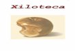 lista maderas xilotecamaderasenargentina.com.ar/archivos/catalogo_maderas.pdf · 2019-07-25 · 2 Prólogo La publicación del catálogo de la Xiloteca de la Facultad. de Ciencias