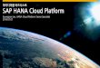 아이디어를비즈니스로 SAP HANA Cloud Platform. SAP... · 2016-07-13 · •Cloud와On-premise 양쪽모두에서SAP Gateway, HANA Cloud Integration 및3rd party integration