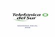 MEMORIA ANUAL 2018 - Telsur · 2019-04-02 · Internet, con tecnología Bluetooth y Wireless LAN, en sociedad con las empresas JCE Chile y Consafe Infotech, posicionando a Telsur