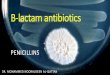 ®â€™-lactam antibiotics Benzylpenicillin (penicillin G) Has narrow spectrum of activity: active against