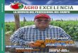 Investigación,€¦ · va entrega de “Historias de agrónomos”, en la que se narran las vivencias de José Luis Palafox Villa, director de produc-ción de Agrícola La Primavera