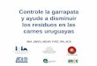 Controle la garrapata y ayude a disminuir los residuos en ...ºblicos/INIA Tacuarembó... · Residuos de insecticidas en carne • Respetar tiempo de espera • Si aumenta la dosis,