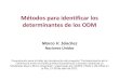 Métodos para identificar los determinantes de los ODM · Métodos para identificar los determinantes de los ODM Marco V. Sánchez Naciones Unidas Presentación para el taller de