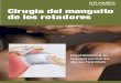 Cirugía del manguito de los rotadores (PDF) · tejido conectivo que conectan los múscu- ambos por la parte de atrás de la cabeza del los del manguito de los rotadores con el húmero