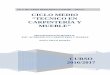 CICLO MEDIO “TECNICO EN CARPINTERÍA Y MUEBLE”iesricardobernardo.es/wp-content/uploads/2016/01/...• Procedimientos de evaluación. 6) Criterios de calificación. ... fichas técnicas