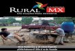 ruraltv.com.mxruraltv.com.mx/wp-content/uploads/2018/07/RURAL-MX... · señalaron al dueño del lugar mientras me dicen pues él ... el manejo de las plántulas, enfermedades, insectos