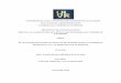 UNIVERSIDAD LAICA VICENTE ROCAFUERTE DE GUAYAQUIL …repositorio.ulvr.edu.ec/bitstream/44000/2771/1/T-ULVR-2556.pdf · la autoría del presente proyecto de investigación, PLAN DE