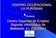 Centro Especial de Empleo Soporte Informático de Baleares ...³n labora… · Conselleria de Hacienda: Introducción datos de notarios (1996 hasta 2002) z Conselleria d’Interior: