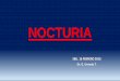 NOCTURIA - SBU Cbbasbu-filial-cbba.com/Archivos/NOCTURIA-Dr. Urenda.pdf•Factores médicos que afectan: - patrón de sueño - producción y almacenamiento Capacidad vesical disminuida