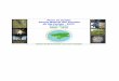 Plano de Gestão Parque Natural dos Tarrafes do Rio Cacheu ...€¦ · Plano de Gestão do Parque Natural dos Tarrafes do Rio Cacheu Instituto de Biodiversidade e Areas Protegidas