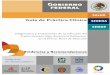 Guía de Práctica Clínica - Universidad de Guadalajaracvsp.cucs.udg.mx/guias/ATENCION_DE_LA_MUJER/SS_IVU/IVU_E... · 2011-04-05 · y cistitis en embarazadas; utilizando la evidencia,