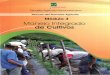 Módulo 4 . Manejo Integrado Cultivos · 2015-06-05 · Presentación La Escuela Agrícola Panamericana, Zamorano y la Cooperación Suiza en América Central a través del Programa