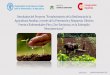 Presentación de PowerPoint · • Instituto de Protección y Sanidad Agropecuaria de Nicaragua (IPSA) Fortalecimiento de la Resiliencia UNA SALUD. ... pecuaria familiar • Estado: