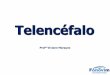 Telencéfalo · 2018-05-08 · Estudo Dirigido Telencéfalo 1) Disserte sobre o sulco central. 2) Como se divide o telencéfalo? 3) Qual a principal comissura inter-hemisférica do