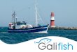 galifishexportgalifishexport.com/wp-content/uploads/2017/04/Galifish...galifishexport.com Ultracongelación La ultracongelación, o congelación rápida, consiste en someter el producto