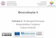 Φσιολοία ΙΙ · 2016-04-07 · Αριστοτέλειο Πανεπιστήμιο Θεσσαλονίκης υσιολογία ΙΙ Hμήμα Ιατρικής Άις Χρήσης